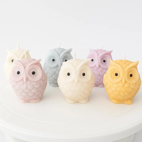 Hand Poured Owl Soy Wax Candle | Whimsical Owl Candle Gift Set of 6.